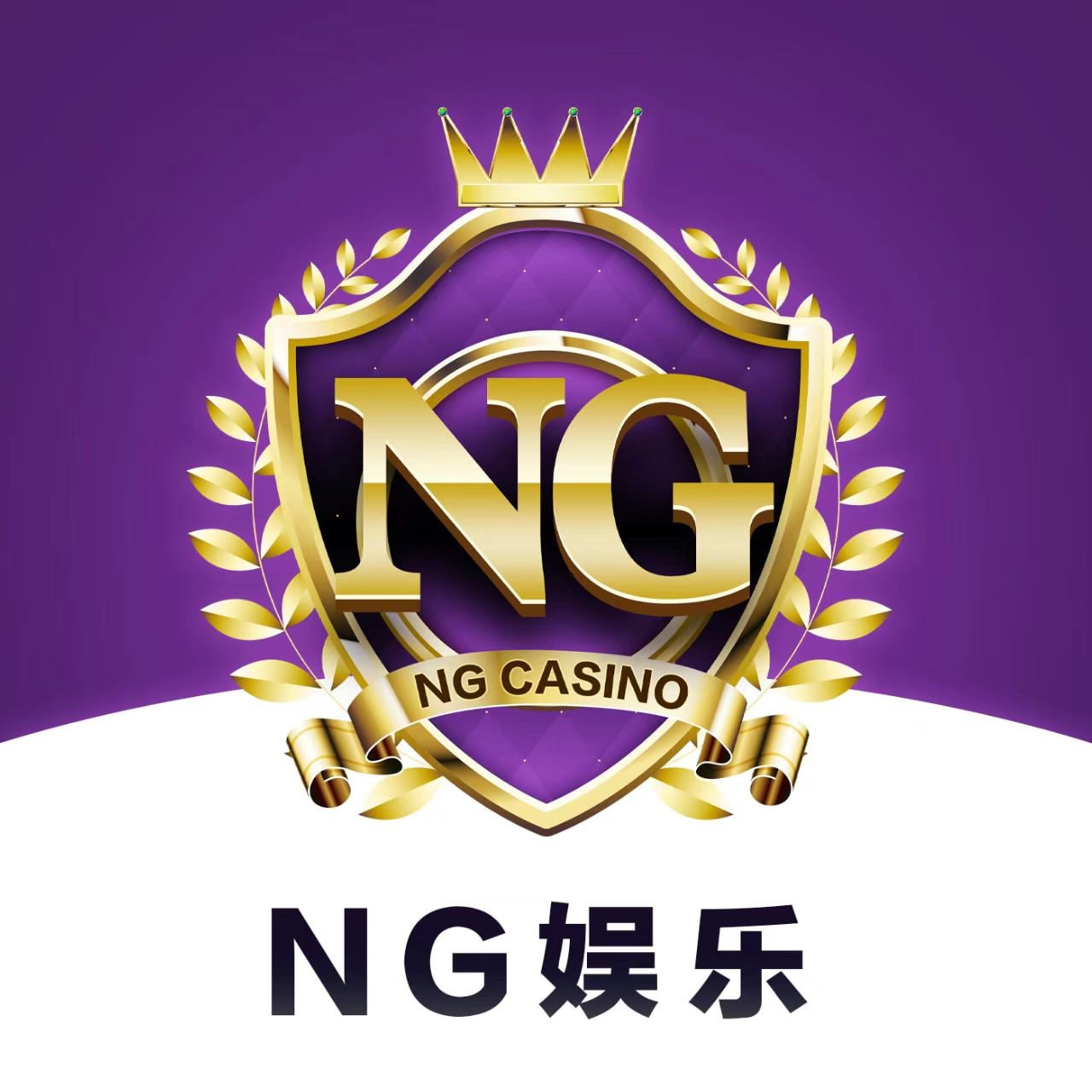 NG集团